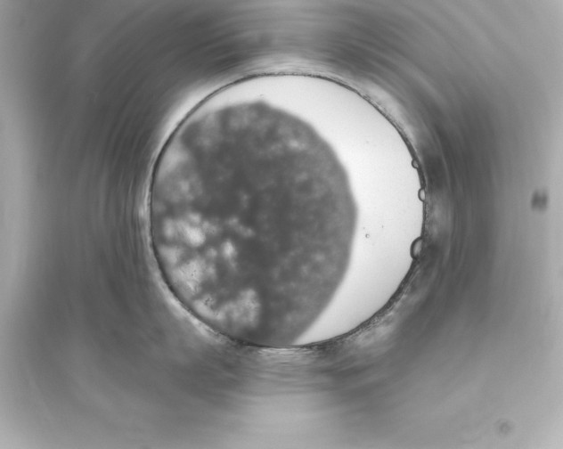 X0000093620863200711121234