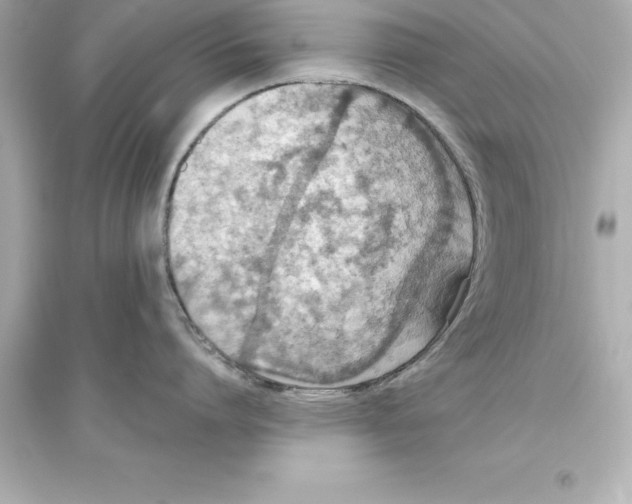 X0000093620864200711121234