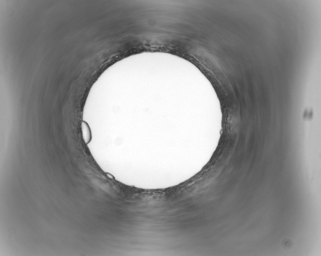 X0000093620865200711121233