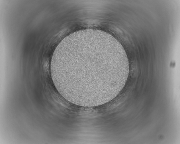 X0000093620866200711121233