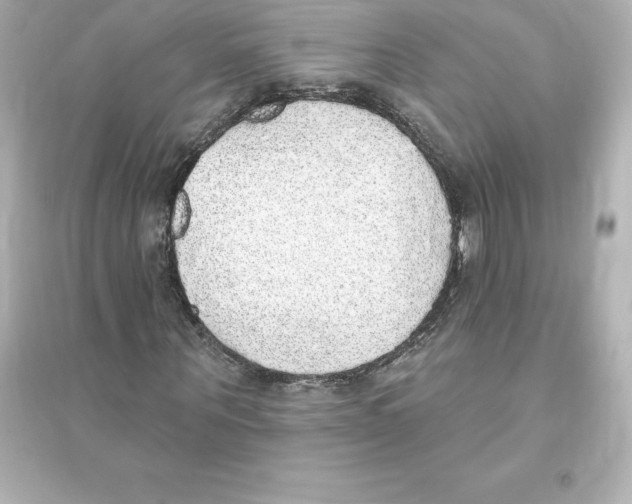 X0000093620867200711121233