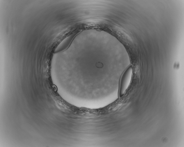 X0000093620868200711121233