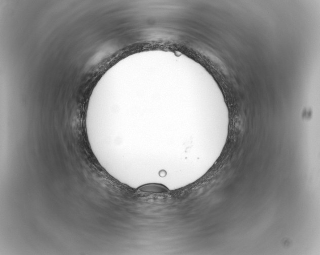 X0000093620869200711121233