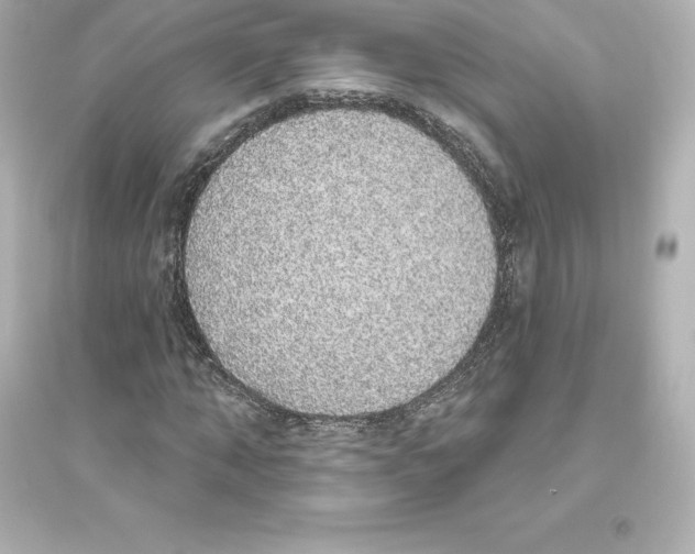 X0000093620870200711121233