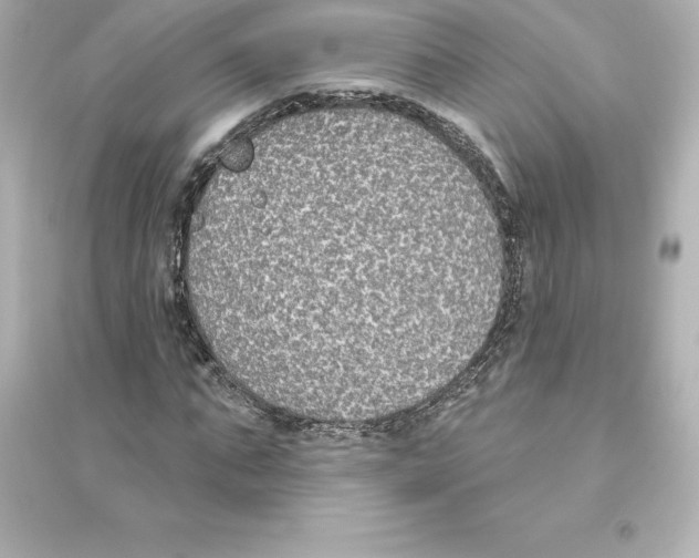 X0000093620871200711121233