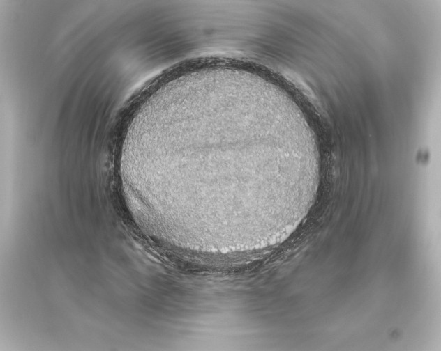 X0000093620872200711121233