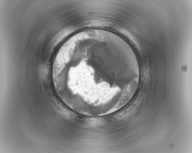 X0000093620874200711121233