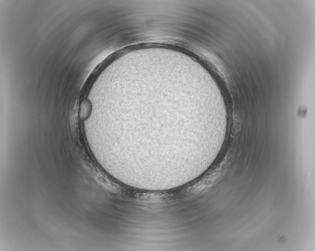 X0000093620875200711121233