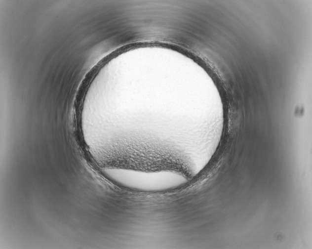 X0000093620876200711121233