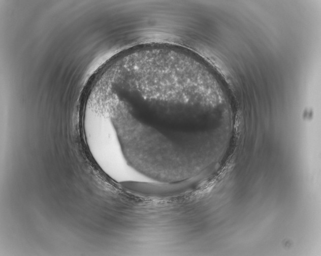 X0000093620877200711121233