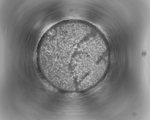 X0000093620879200711121233