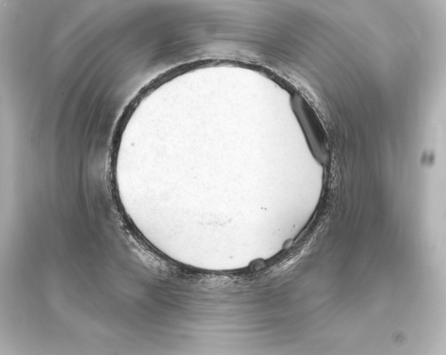 X0000093620880200711121233