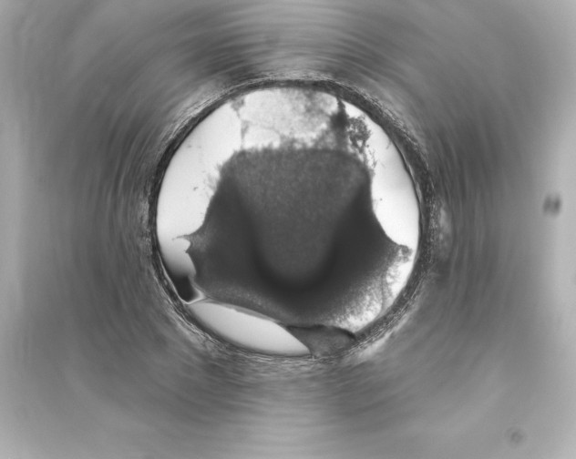 X0000093620881200711121233