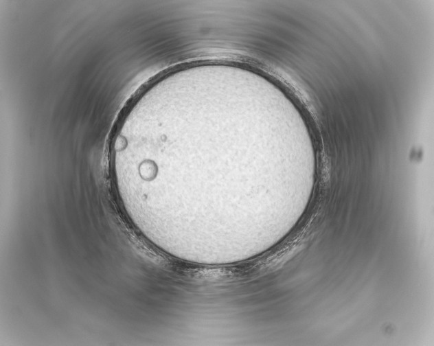 X0000093620883200711121233