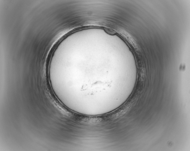 X0000093620884200711121233