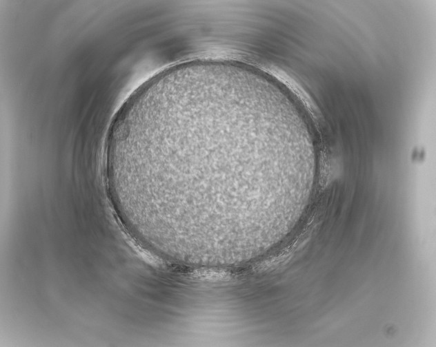 X0000093620886200711121233