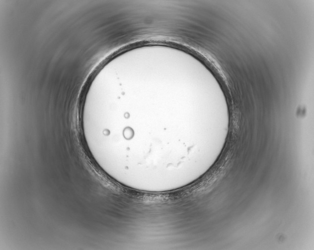 X0000093620887200711121233