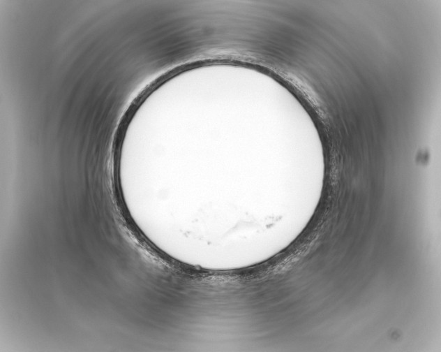 X0000093620888200711121233