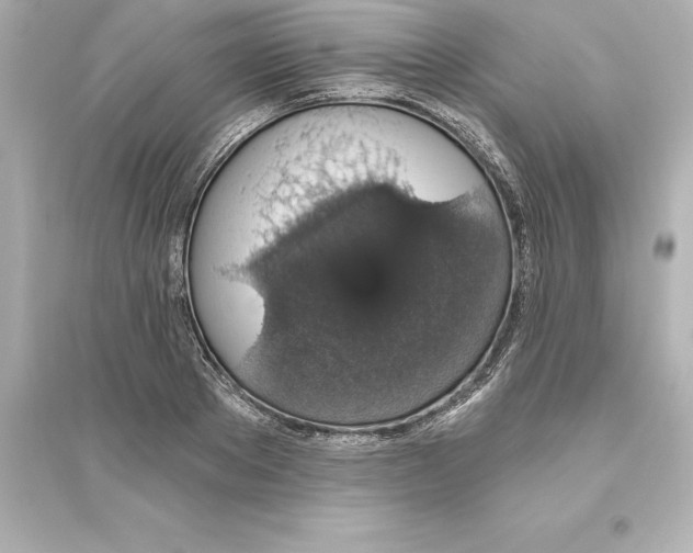 X0000093620889200711121233