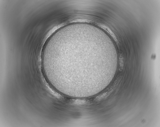 X0000093620890200711121233