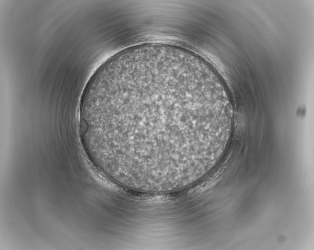 X0000093620891200711121233