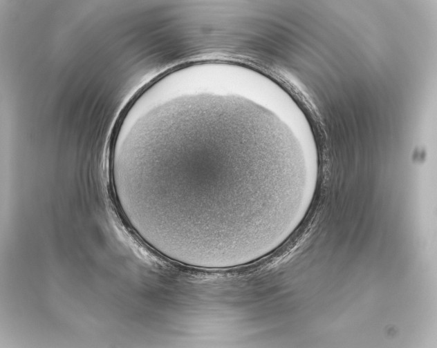 X0000093620892200711121233