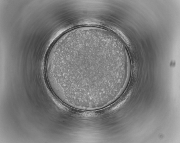 X0000093620893200711121233