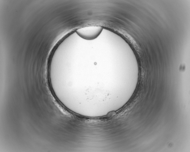 X0000093620894200711121233