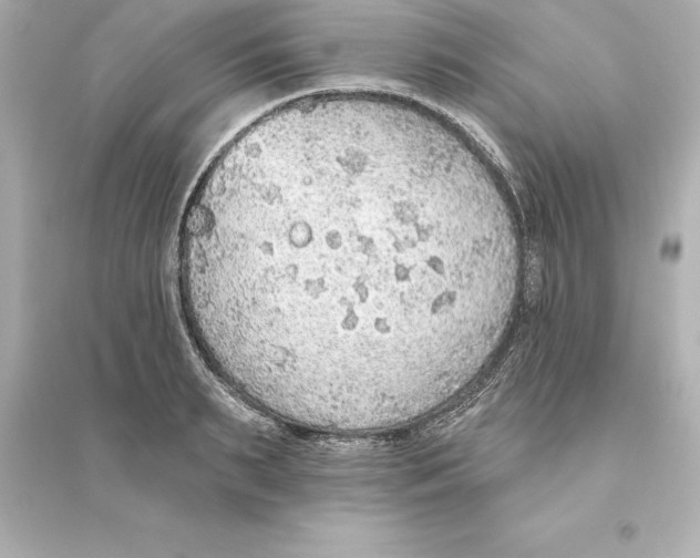 X0000093620895200711121233