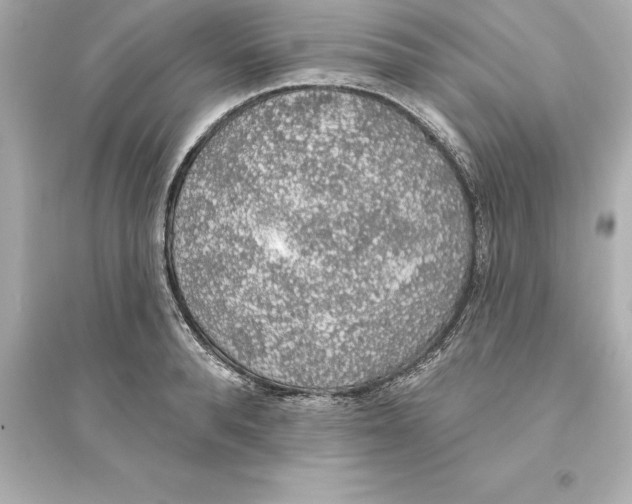 X0000093620896200711121233