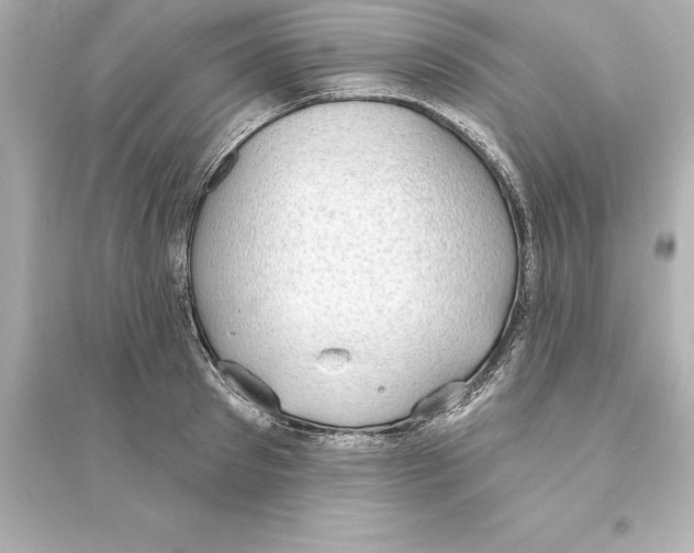 X0000093620897200711121233