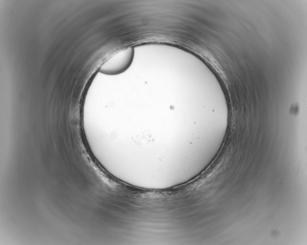 X0000093620898200711121233