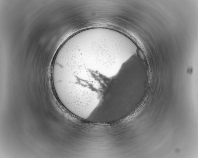 X0000093620899200711121233