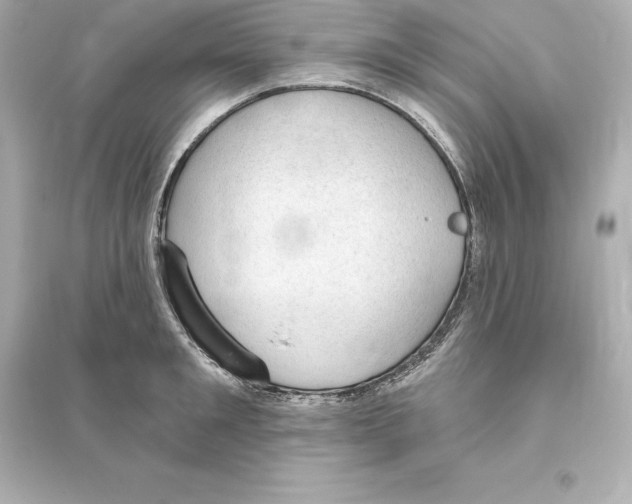 X0000093620901200711121233