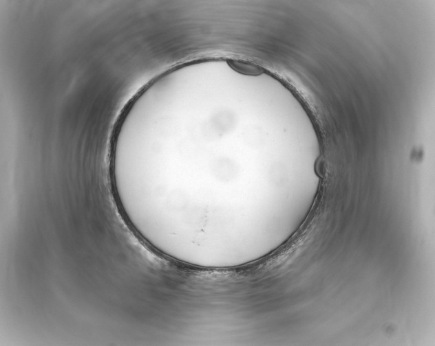 X0000093620902200711121233