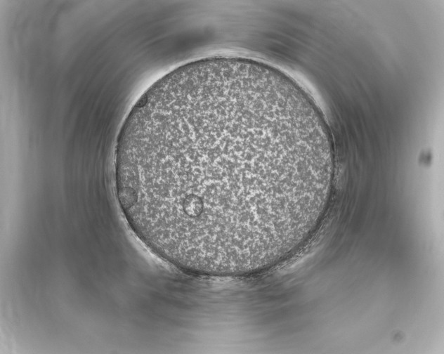 X0000093620903200711121233