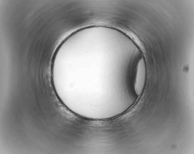 X0000093620904200711121233