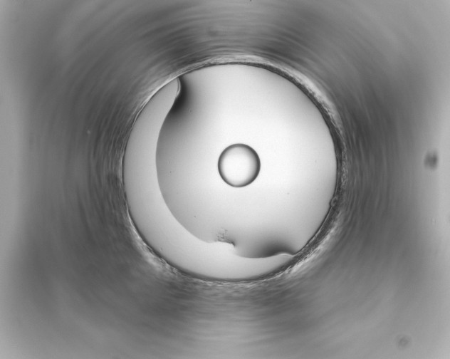 X0000093620905200711121233