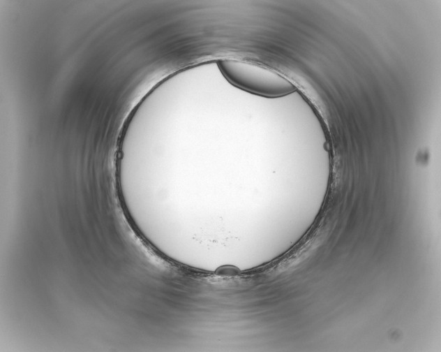 X0000093620906200711121233