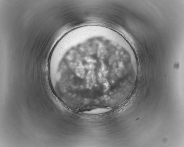 X0000093620907200711121232