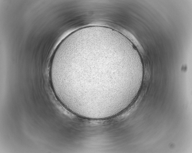 X0000093620908200711121232