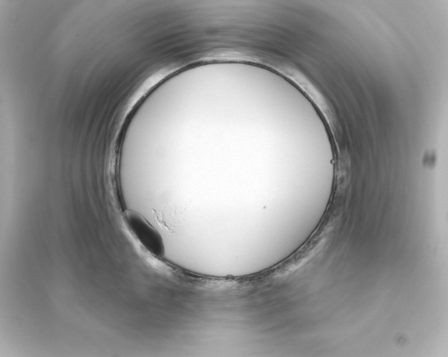 X0000093620909200711121232