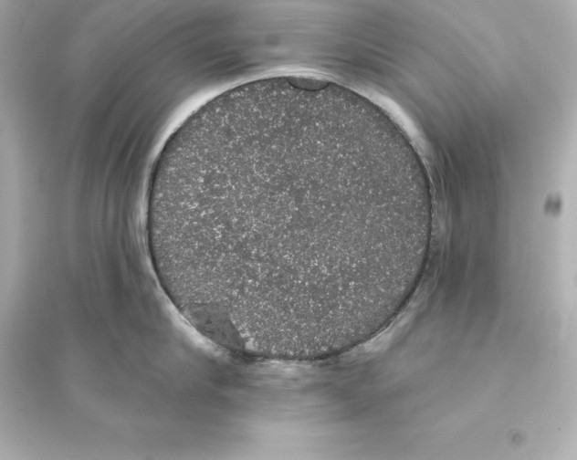 X0000093620910200711121232