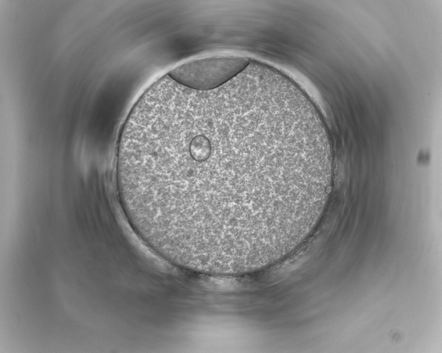 X0000093620911200711121232