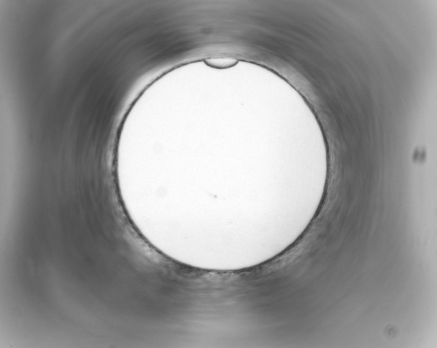 X0000093620912200711121232