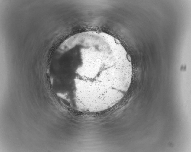 X0000093620913200711121232