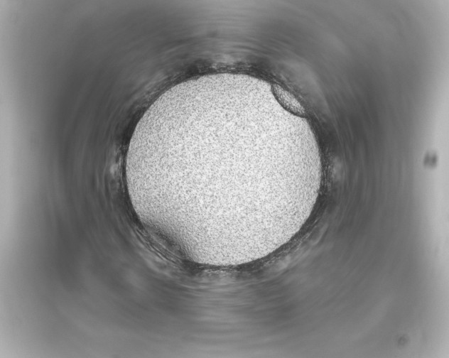 X0000093620914200711121232