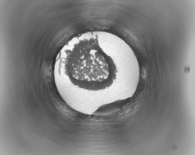 X0000093620915200711121232