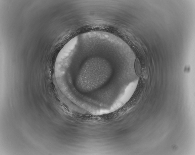 X0000093620916200711121232