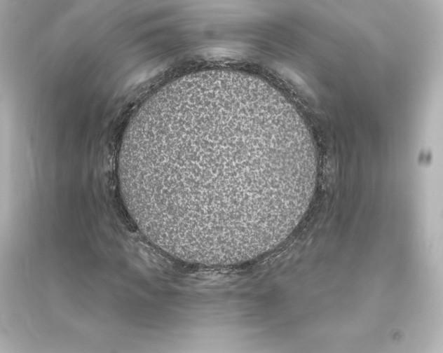 X0000093620917200711121232